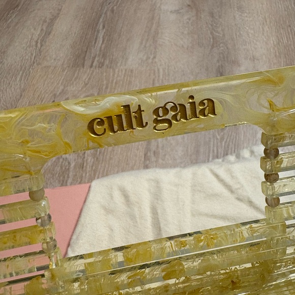 Cult Gaia Small (not small) Acrylic Ark